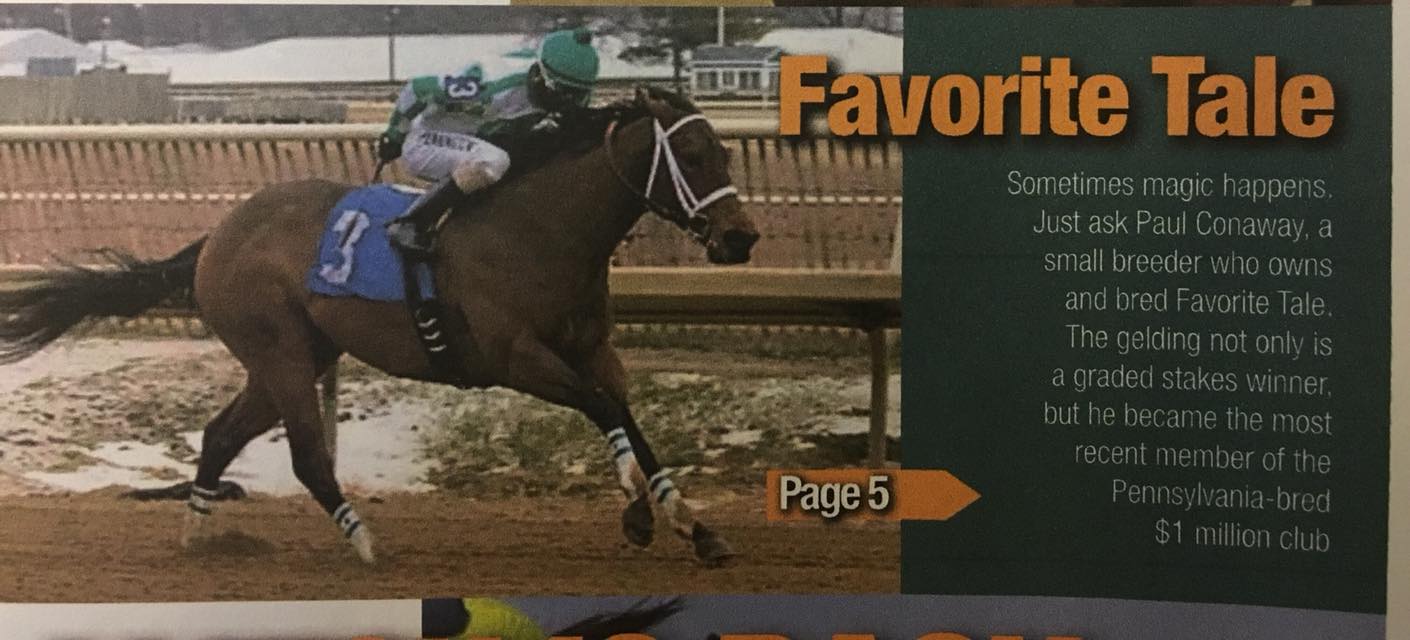 Our Horse, Favorite Tale Tops A Million $